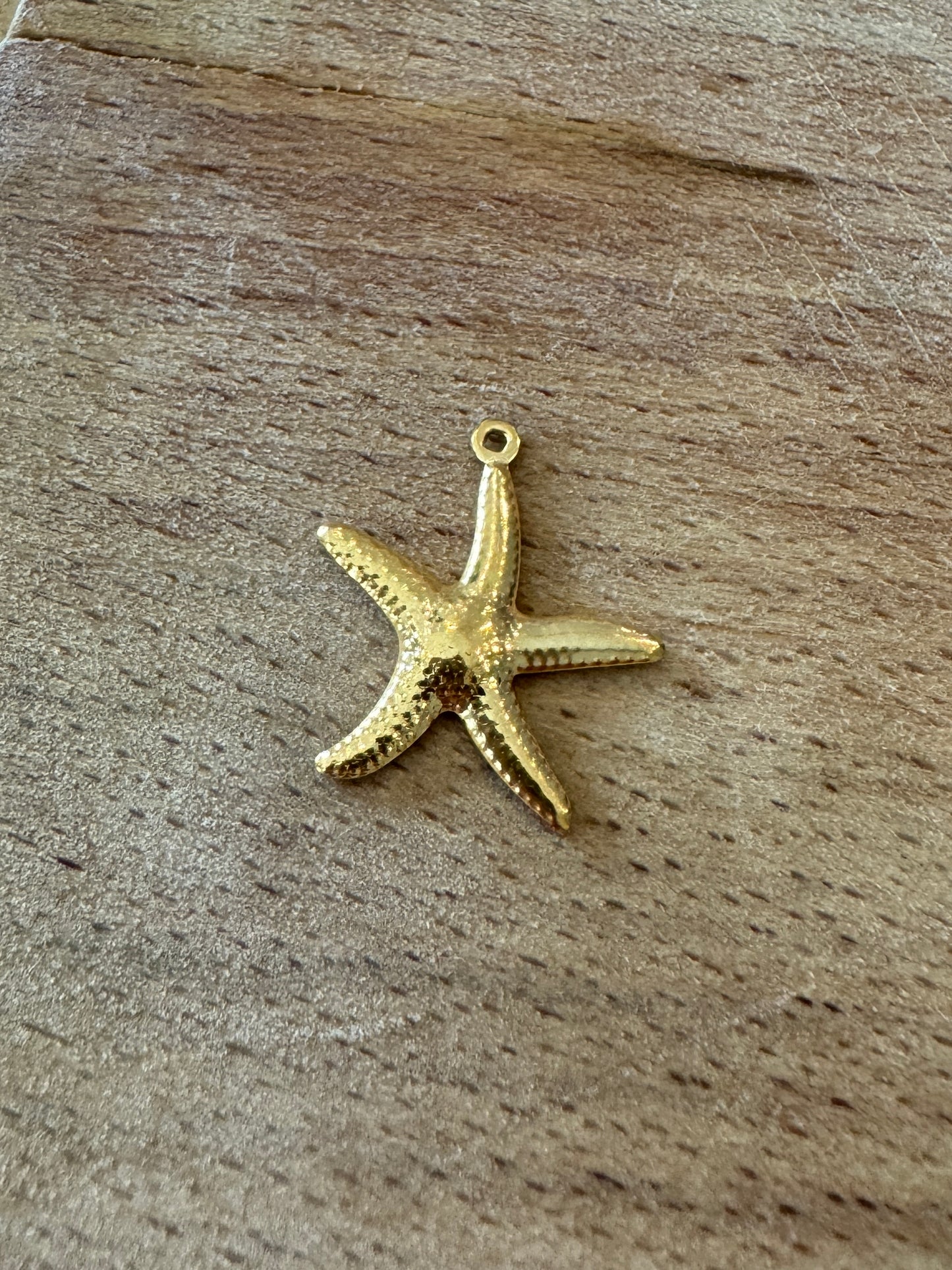 Pendentif Etoile de mer