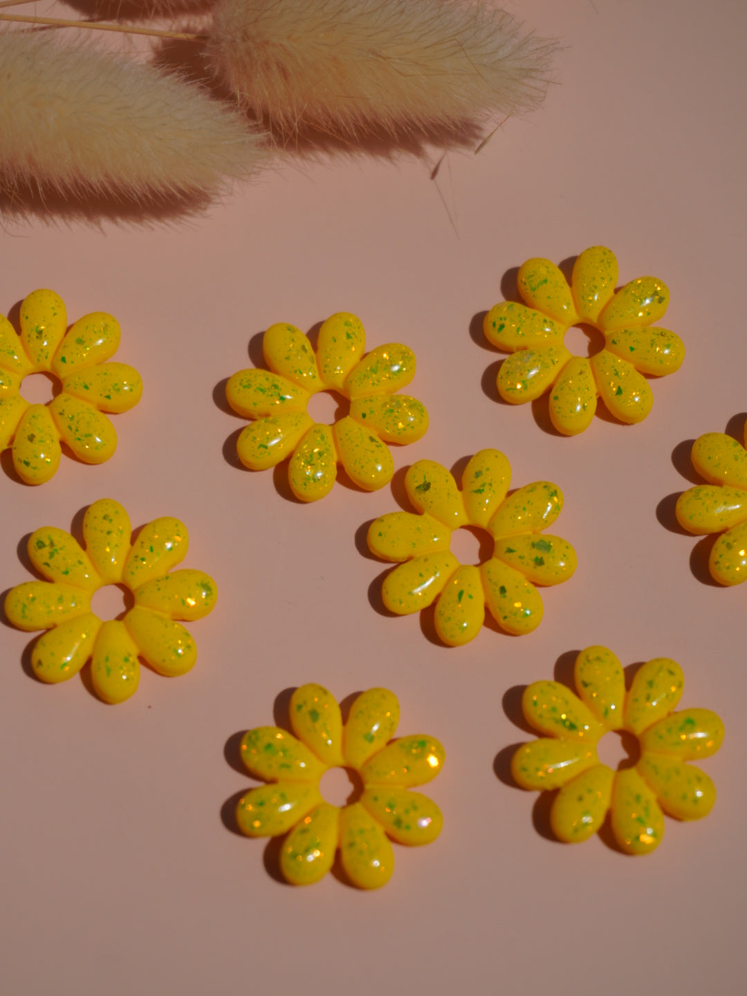 Pampilles Tournesol